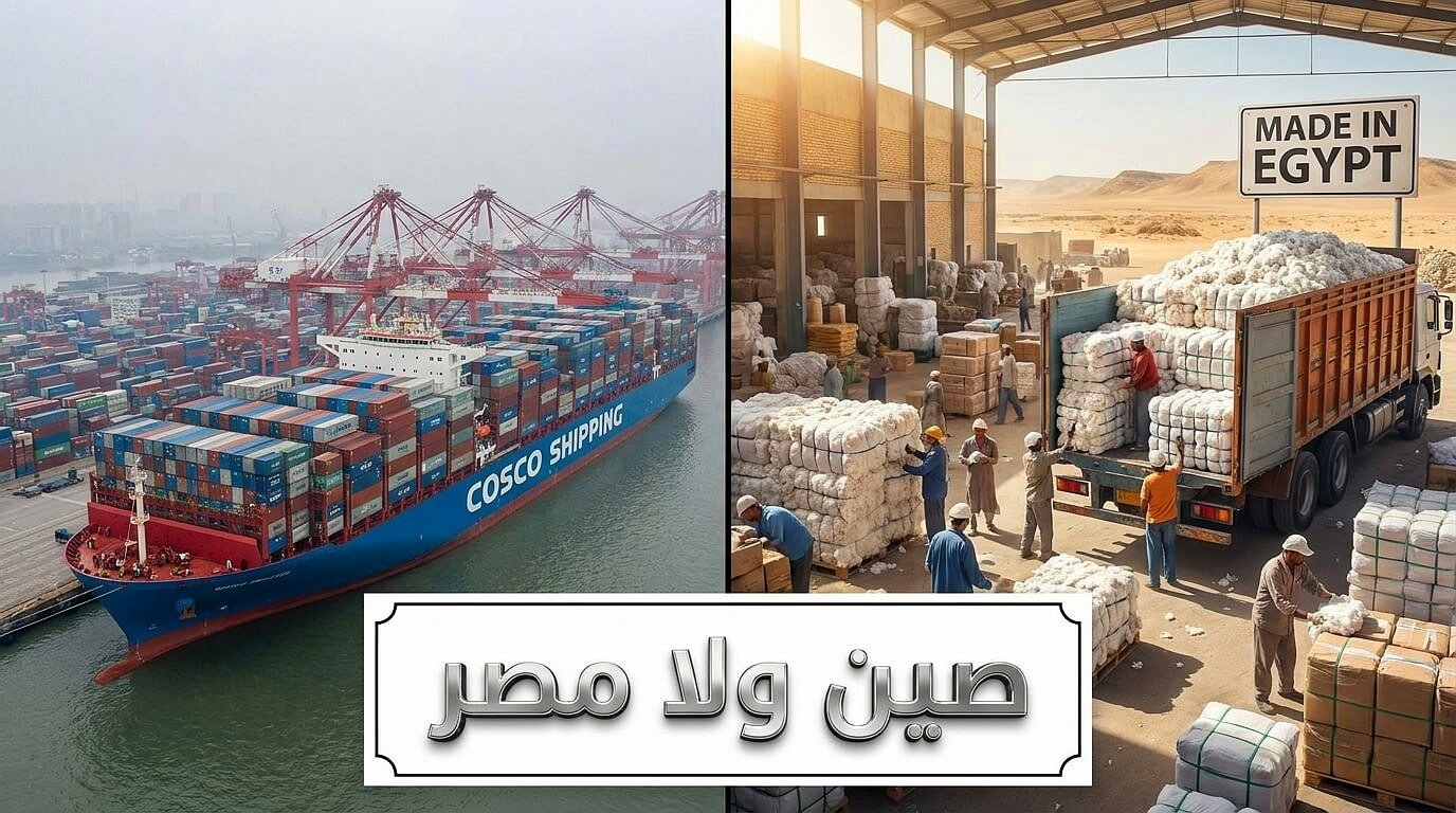 مقارنة الاستيراد مع أسواق الجملة في مصر

