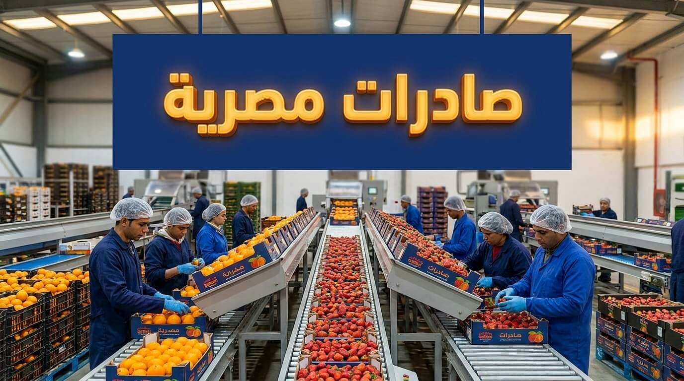 زيادة التصدير كنتيجة مباشرة لـ تأثير البريكس على الاقتصاد المصري
