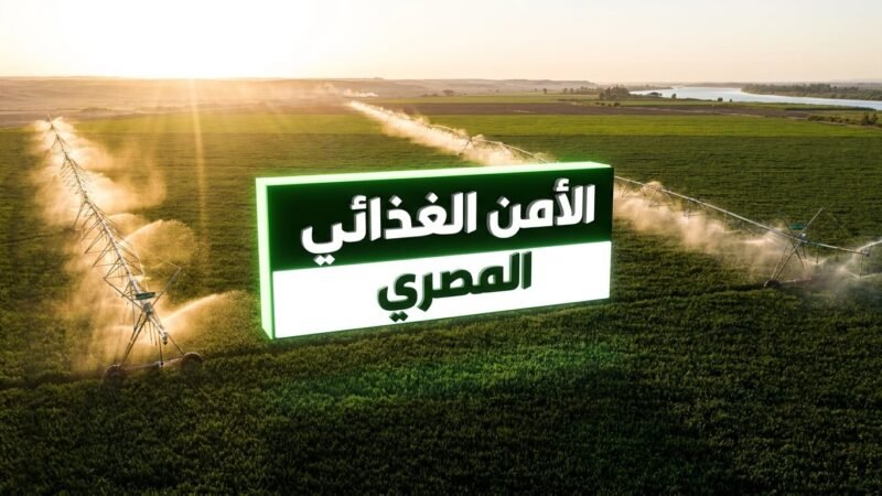 نمو وتطور الاستثمار الزراعي في مصر لحماية الأمن الغذائي
